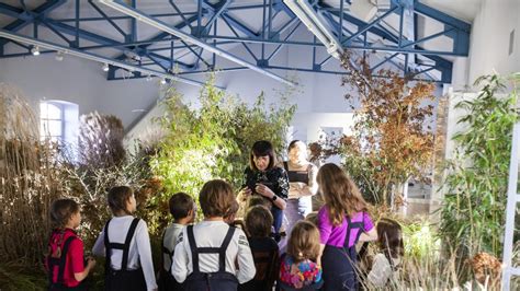 Milano, il «bosco magico» a misura di bambino alla 